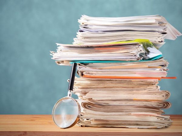 Documentos. Blog: qué es la transparencia en gestión pública.