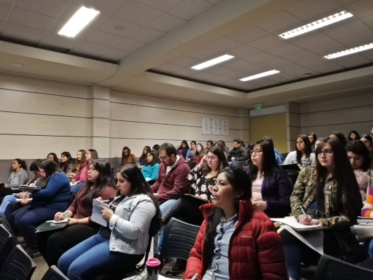 Comenzó la cuarta versión del Curso IAAS y REAS para titulados de salud del CFT Santo Tomás